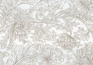 Chrysanthemum line
