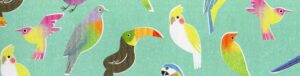 鳥