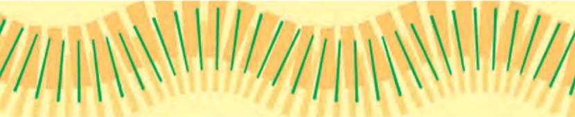 mt 1P ランダムウェーブ